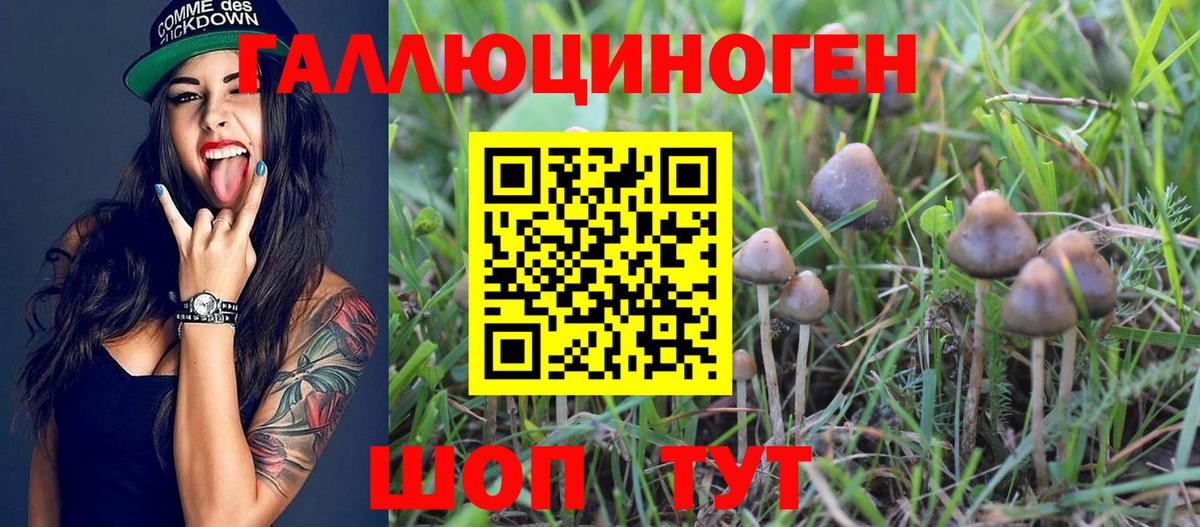 Псилоцибиновые грибы мухоморы Муравленко